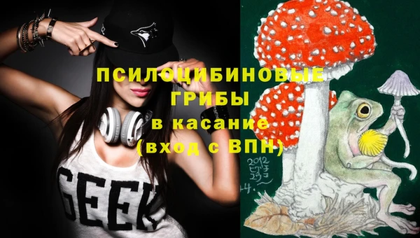 эйфоретик Балахна