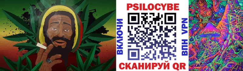 мориарти наркотические препараты Ессентуки Псилоцибиновые грибы Psilocybe