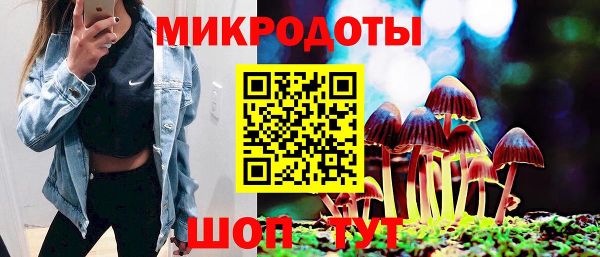Галлюциногенные грибы Magic Shrooms Ессентуки