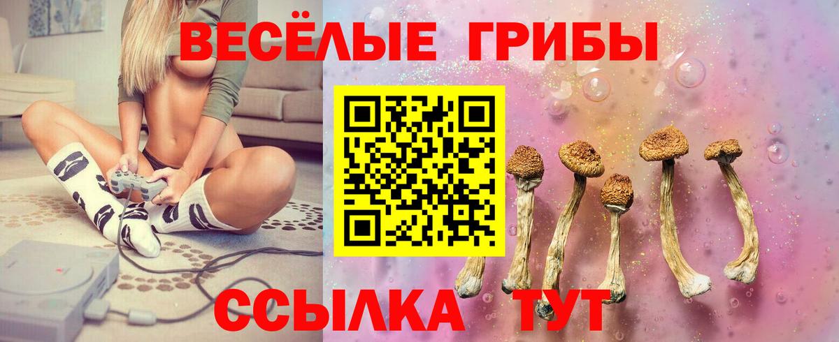 Псилоцибиновые грибы Cubensis  Вход с VPN  где купить наркоту  Ессентуки 